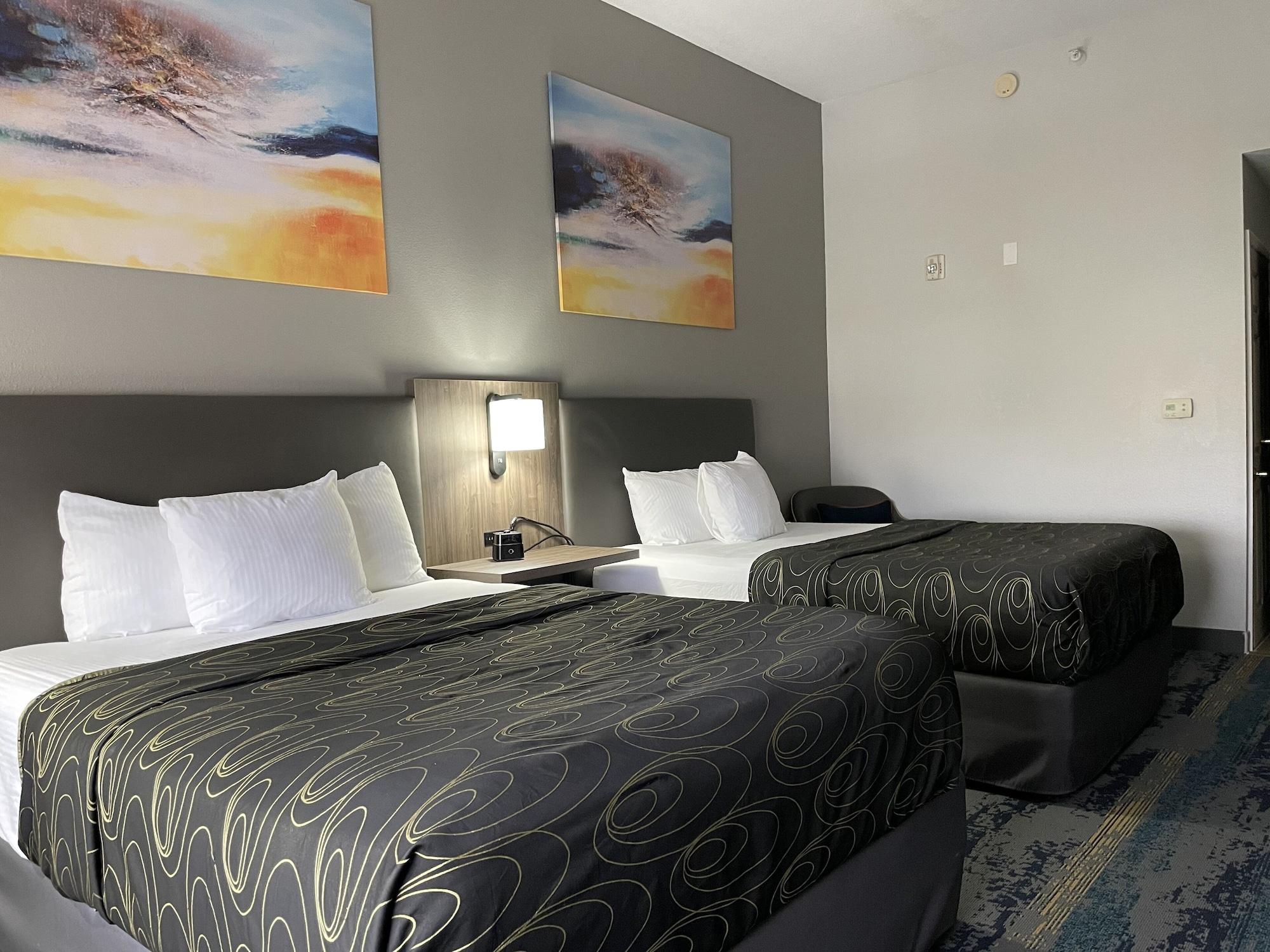 La Quinta By Wyndham Tampa Central Carrollwood Village Extérieur photo